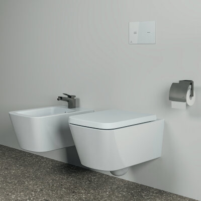 Держатель для туалетной бумаги с крышкой Ideal Standard CONCA T4496A5