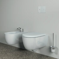 Туалетная щетка с держателем Ideal Standard CONCA T4495AA для настенного монтажа